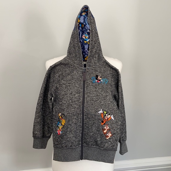 Disney Parks Character Hoodie